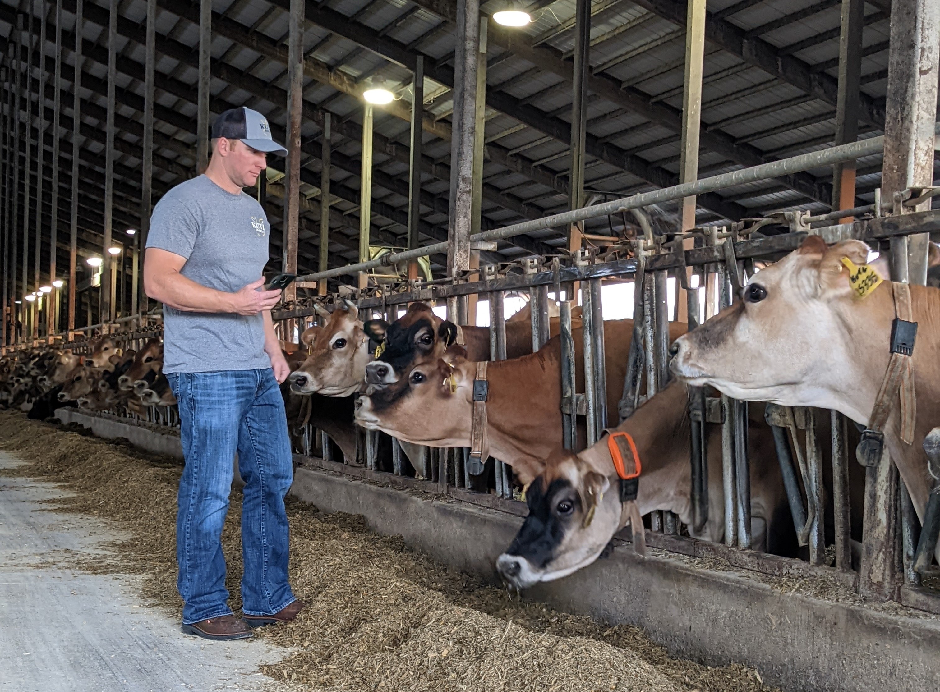 Uncovering hidden insights with Connecterra's Copilot